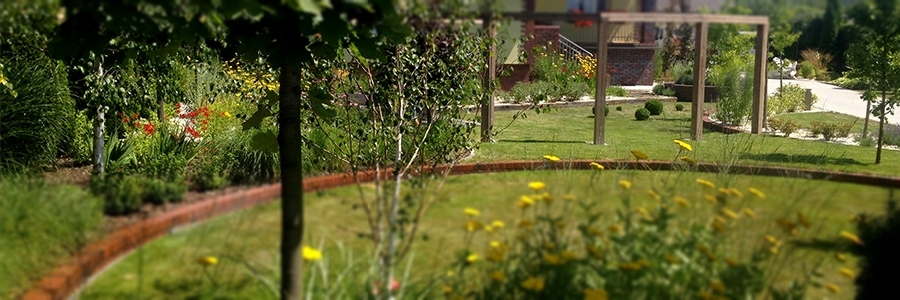 ogród zaczynamy wszystko od nowa, Opole